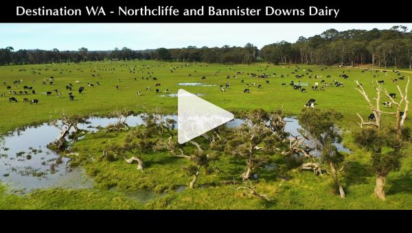 Destination WA - Northcliffe and Bannister Downs