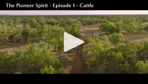 THe Pioneer Spirit - Ep1 - Cattle