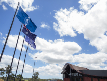 Flags in the wind